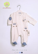 Load image into Gallery viewer, Embroidered newborn coverall
