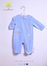 Load image into Gallery viewer, Embroidered newborn coverall
