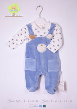 Load image into Gallery viewer, Velvet overalls for newborns with an embroidered bobby blouse
