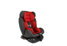 Load image into Gallery viewer, Carseat Petit Bebe level 2
